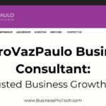 pedrovazpaulo_business_consultant